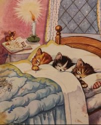 sleeping cats Meme Template