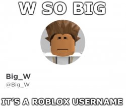 W so big it’s a Roblox username Meme Template