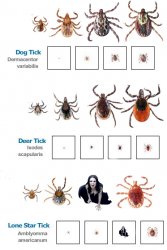 Know Your Ticks Meme Template