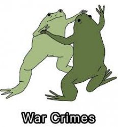 Frog war crimes Meme Template