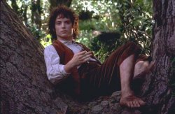 Frodo Sitting in a Tree Meme Template