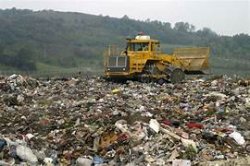 the dump Meme Template