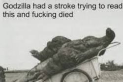 Godzilla had a stroke Meme Template