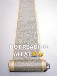 not reading allat Meme Template