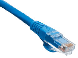 Ethernet Cable Meme Template