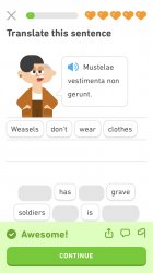 Duolingo be like Meme Template