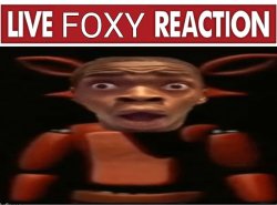 LIVE FOXY REACTION Meme Template