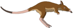 Leptictidium Meme Template