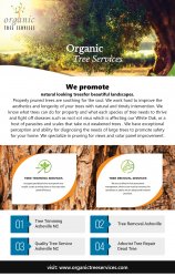 Quality Tree Service Asheville NC Meme Template