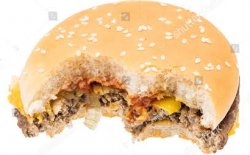 Half eaten burger with stock watermark Meme Template