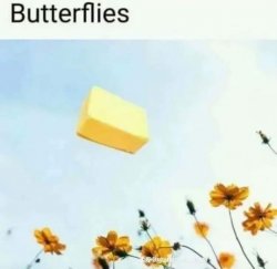 Butterflies Meme Template
