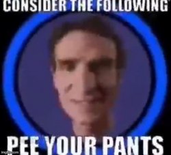 consider the following pee your pants Meme Template