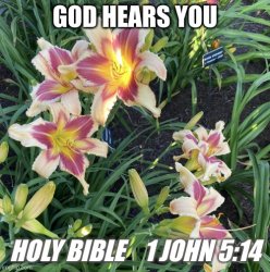 God Hears You 3 Lily Meme Template