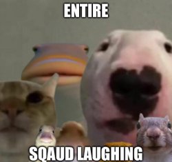 entire squad laughing Meme Template