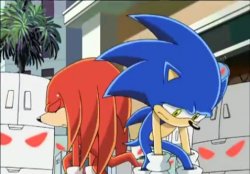 sonic and knuckles tired Meme Template