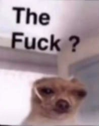 the fuck Meme Template