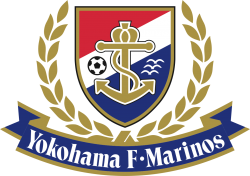 Yokohama F. Marinos Meme Template