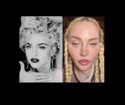 Madonna Meme Template
