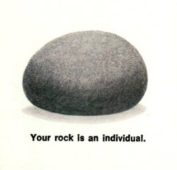 your rock is an induvidul. Meme Template