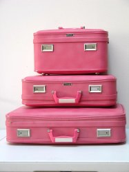 Pink Luggage Meme Template