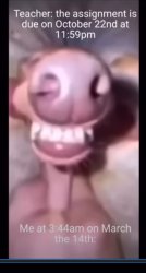 gay dog anal sex Meme Template