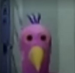 Opila bird staring Meme Template