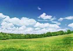 SideWithSidevotes announcement temp Meme Template