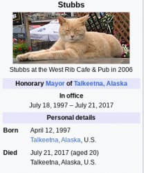 Mayor Stubbs Meme Template