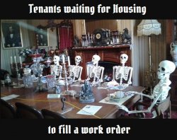 Tenant Skeleton meme Meme Template