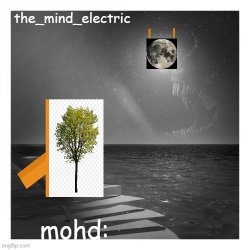 "other" mind electric temp Meme Template