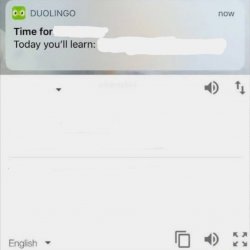 Duolingo "Today you'll learn:" Meme Template