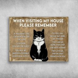 Tuxedo cat house rules Meme Template