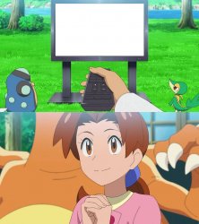 delia ketchum watching who on tv Meme Template