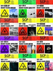 SCP Label part 1 Meme Template