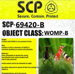 SCP 69420 B Label Meme Template