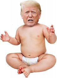 Baby trump Meme Template