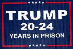 trump 20-24 years in prison Meme Template