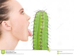 Cactus licking stock photo Meme Template