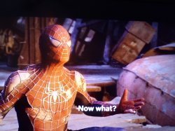 Spiderman now what Meme Template