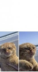me when Meme Template