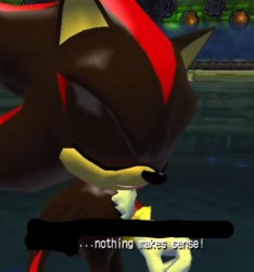 shadow nothing makes sense Meme Template