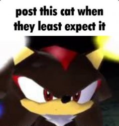shadow post this cat when they least expect it Meme Template