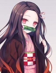 nezuko Meme Template