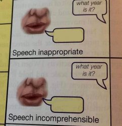 speech inappropriate speech incomprehensible Meme Template