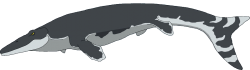 Tylosaurus (Male) Meme Template