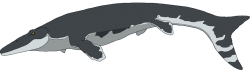 Tylosaurus (Female) Meme Template