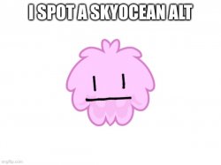 I spot a SkyOcean alt Meme Template
