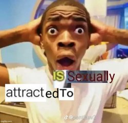 X is sexually attracted to Y Meme Template