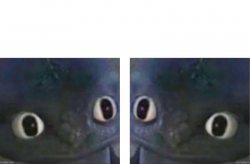 two dragons stare Meme Template