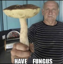 Have Fungus Meme Template